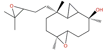 Pacificin L